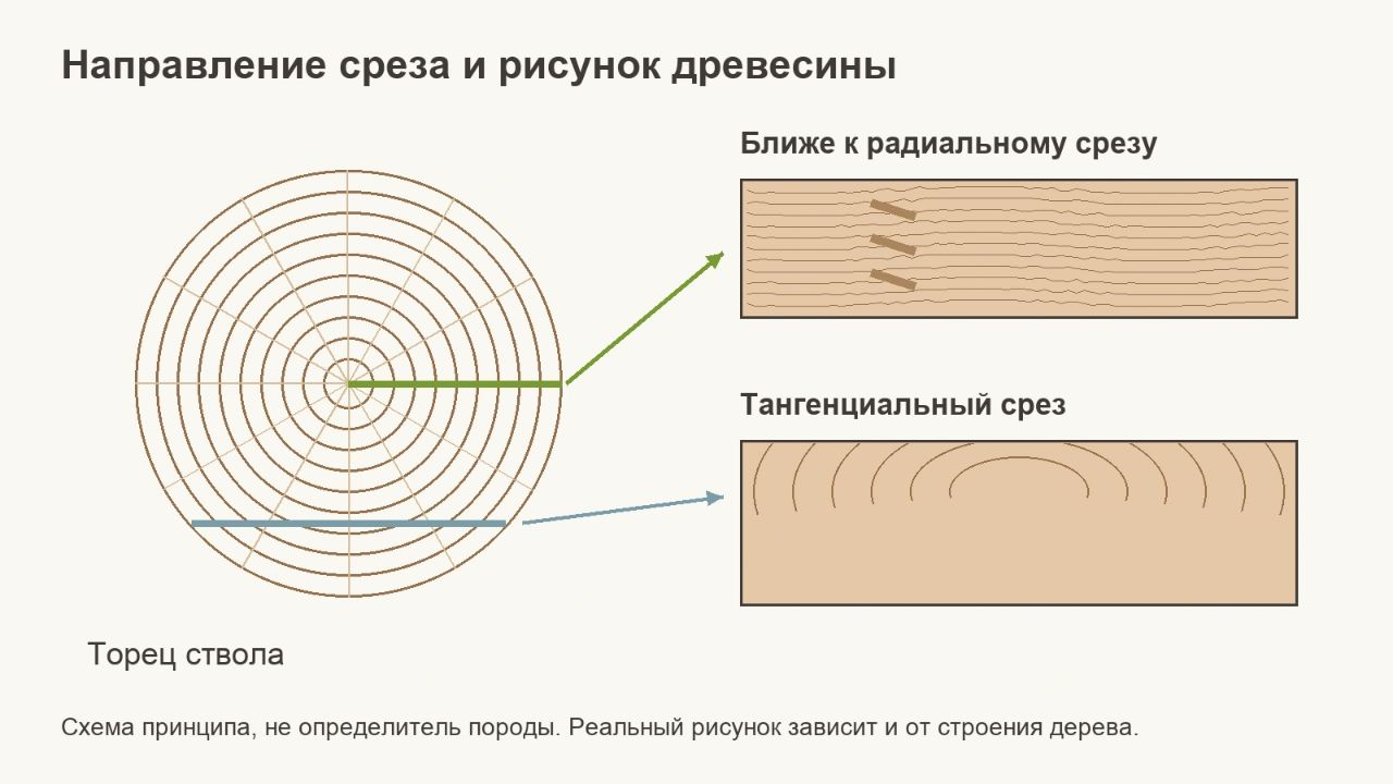 Радиальный и тангенциальный рисунок древесины