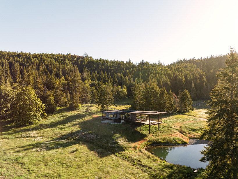 Дом Daisy Ranch на фоне леса