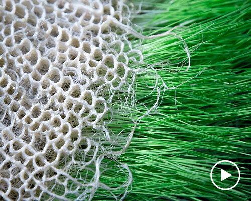 Rootfull: как живые корни растений становятся биотекстилем, светильниками и мебельной обивкой для устойчивого дизайна интерьеров
