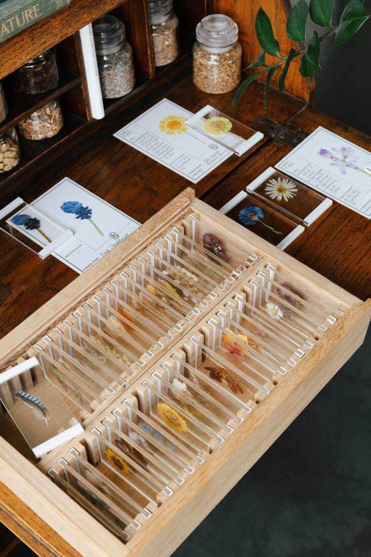 Кулинарный книжный магазин