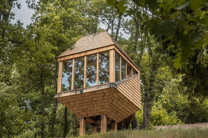 Деревянный домик TreeBOX среди дубов